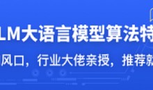 LLM大语言模型算法特训 带你转型AI大语言模型算法工程师
