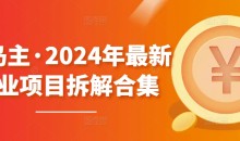 黄岛主·2024年最新副业项目拆解合集600G【无水印】