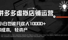 拼多多虚拟店铺运营小白也能月收入10000+【揭秘】
