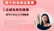 猴子电商小红书电商运营课,从入门到精通,全域电商实操课