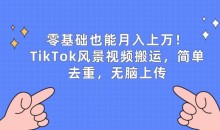 零基础也能月入上w,TikTok风景视频搬运,简单去重,无脑上传【揭秘】