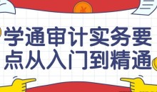 学通审计实务要点从入门到精通课