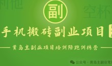 手机搬砖小副业项目训练营1.0一部手机轻松日入100+