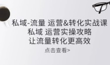 私域-流量 运营转化实操课:私域运营实操攻略 让流量转化更高效