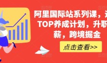 阿里国际站系列课,运营TOP养成计划,升职加薪,跨境掘金
