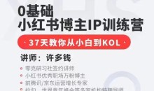 0基础小红书博主IP训练营,37天教你从小白到KOL