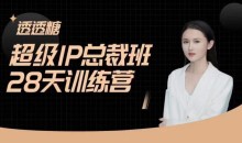 透透糖·超级IP总裁班28天训练营-5月新课,新媒体高效获取能变现的精准流量