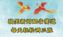 中视频爆火赛道一搞笑新闻配音赛道,每天轻松两三张【揭秘】