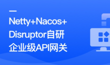 Netty+Nacos+Disruptor自研企业级API网关