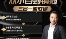 李立恒从小白到销冠 三合一速成:销售三法+非暴力关单法+销售系统挖需课 (27节)