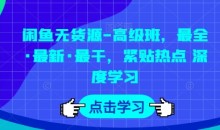 闲鱼无货源-高级班,最全·最新·最干,紧贴热点 深度学习