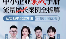 中小企业实战手册流量增长案例全拆解,从实战中沉淀方法,可复用可落地