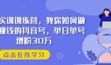 抖音实训训练营,教你如何做一个赚钱的抖音号,单日单号增粉30万