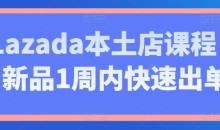 Lazada本土店课程,新品1周内快速出单