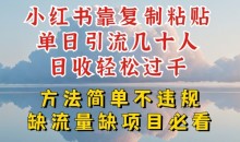 小红书靠复制粘贴单日引流几十人目收轻松过千,方法简单不违规