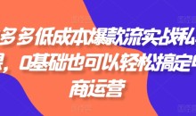 拼多多低成本爆款流实战私教课,0基础也可以轻松搞定电商运营