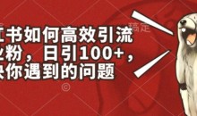 小红书如何高效引流创业粉,日引100+,解决你遇到的问题【揭秘】