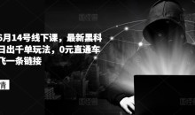 拼多多6月14号线下课,最新黑科技起爆日出千单玩法,0元直通车如何起飞一条链接