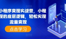 抖音小程序变现实战营,小程序变现的底层逻辑,轻松实现流量变现