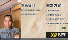 张嘉添内驱力案例110讲