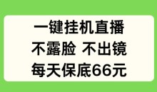 一键挂JI直播,不露脸不出境,每天保底66元【揭秘】