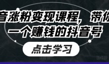 抖音涨粉变现课程,带你做一个赚钱的抖音号