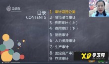 会计狮课堂沫沫:企业内审审计助理必修课(视频)