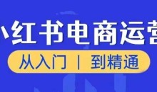 小红书电商运营课,从入门到精通,带你抓住又一个赚钱风口