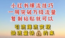 小红书爆流技巧,一周突破万级流量,复制粘贴就可以,引流爆流变现
