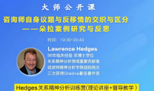 Hedges详解针对4种不同发展水平来访的关系精神分析透视法