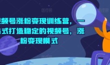 视频号涨粉变现训练营,一站式打造稳定的视频号,涨粉变现模式