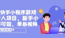 抖音快手网賺小程序涨粉游戏发行人项目,新手小白都可做