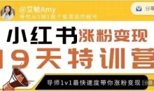 艾敏19天小红书涨粉变现特训营-第7期,快速学会小红书涨粉,月入十万轻松变现!