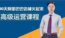 阿里巴巴高级运营课,9O天阿里巴巴店铺火起来