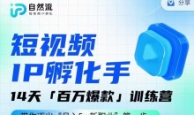 瑶瑶·自然流IP孵化手第九期,短视频IP孵化手,14天百万爆款训练营