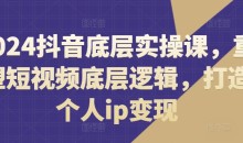 2024抖音底层实操课,重塑短视频底层逻辑,打造个人ip变现