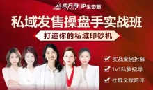 私域发售操盘手实战班,打造你的私域印钞机