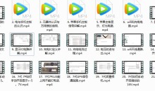 《苹果手机维修必备理论课》全套入门教学视频(21集)