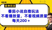 番茄小说自撸玩法,不看播放量,不看视频质量