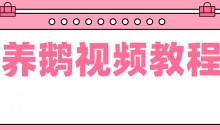 养鹅技术视频教程