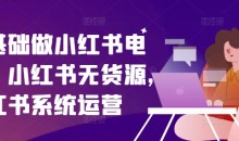 零基础做小红书电商,小红书无货源,小红书系统运营