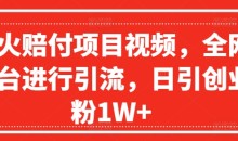 爆火赔付项目视频,全网平台进行引流,日引创业粉1W+【揭秘】