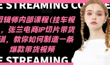 IP剪辑师内部课程(挂车视频),张兰电商IP切片带货培训,教你如何制造一条爆款带货视频