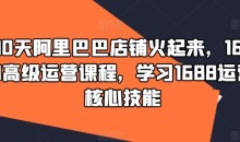 90天阿里巴巴店铺火起来,1688高级运营课程,学习1688运营核心技能