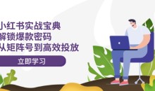 小红书打爆款实战课,解锁爆款密码,从矩阵号到高效投放