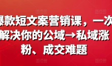爆款营销文案课,一次解决你的公域→私域涨粉、成交难题