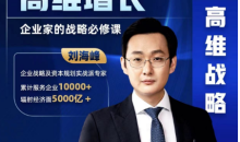 刘海峰高维增长:企业家的战略必修课_新版 (20节)