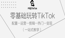 零基础玩转TikTok,配置一运营一剪辑一热门一变现,一站式教学