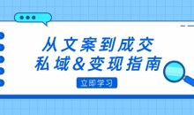 从文案到成交,私域&变现指南:朋友圈策略+文案撰写+粉丝运营实操