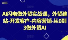 AI闪电做外贸实战课,外贸建站-开发客户-内容营销-从0到3做外贸AI(更新)